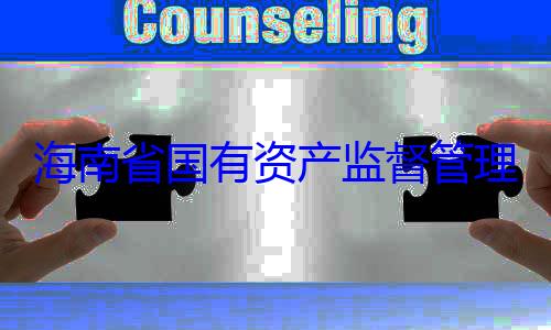 海南省国有委副书记王理委员会党查调查资产监督管有福接受审